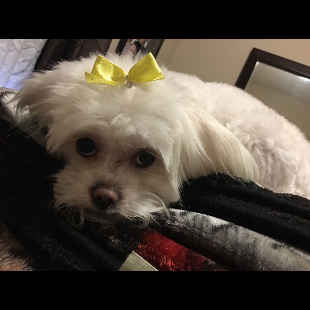 Meet your Posher, Mileidy